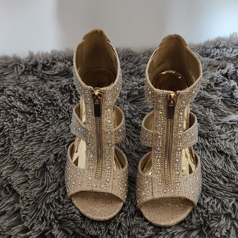 Beautiful Silver Slipper
